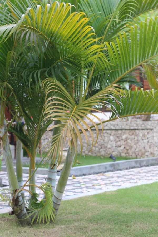 Gepah Garden Cottage Nusa Penida Extérieur photo